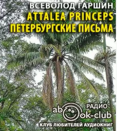 Аttalea princeps. Петербургские письма - Всеволод Гаршин