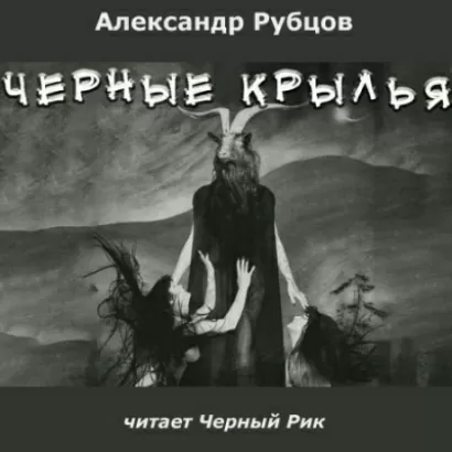Чёрные крылья - Александр Рубцов