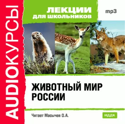 Животный мир России - для Лекции