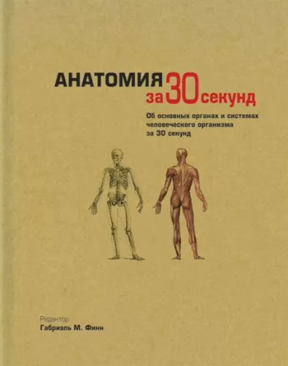 Анатомия за 30 секунд - авторов Коллектив