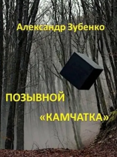 Позывной «Камчатка» - Александр Зубенко